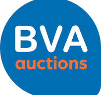 BVA auctions